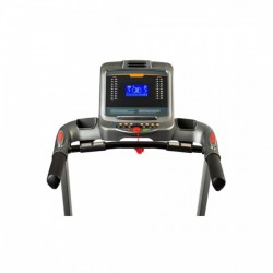 Cinta Olmo Fit 91