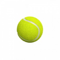 Pelota tenis