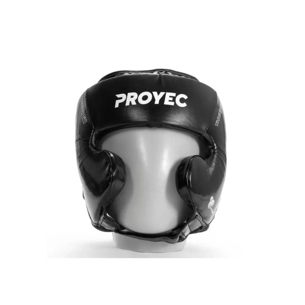 Cabezal de Boxeo Proyec